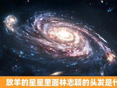 放羊的星星里面林志颖的头发是什么颜色的