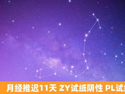 月经推迟11天 ZY试纸阴性 PL试纸阳 郁闷是怎么了?有怀孕吗?