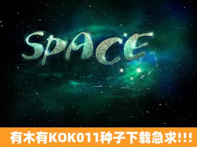 有木有KOK011种子下载急求!!!