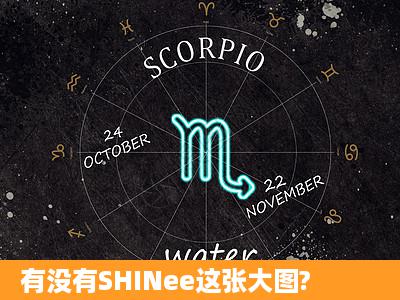 有没有SHINee这张大图?