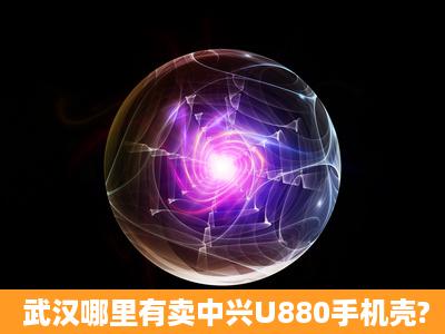 武汉哪里有卖中兴U880手机壳?