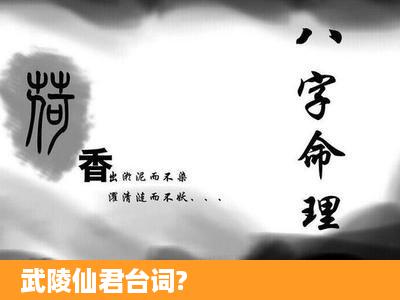 武陵仙君台词?