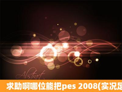 求助啊哪位能把pes 2008(实况足球200)所有经典国家队的球员中文名...