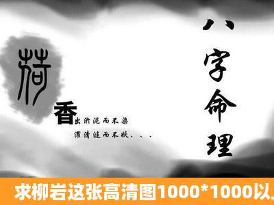 求柳岩这张高清图1000*1000以上分辨率。