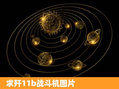 求歼11b战斗机图片