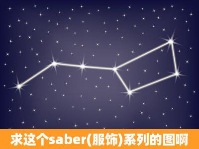 求这个saber(服饰)系列的图啊