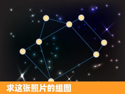 求这张照片的组图