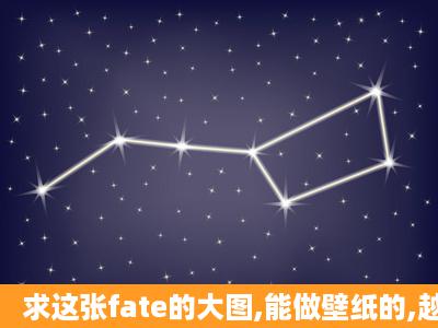 求这张fate的大图,能做壁纸的,越清晰越好