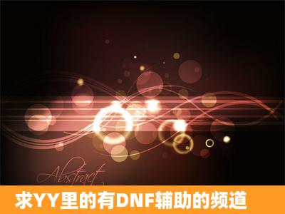 求YY里的有DNF辅助的频道