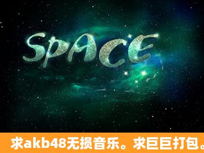 求akb48无损音乐。求巨巨打包。