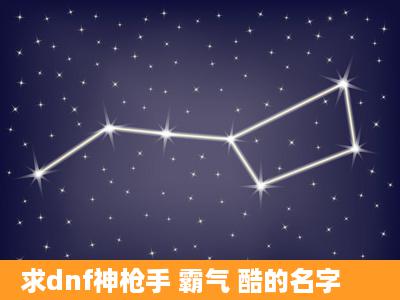 求dnf神枪手 霸气 酷的名字