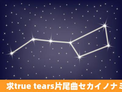 求true tears片尾曲セカイノナミダ的中文歌词