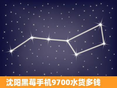 沈阳黑莓手机9700水货多钱