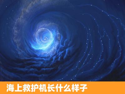 海上救护机长什么样子