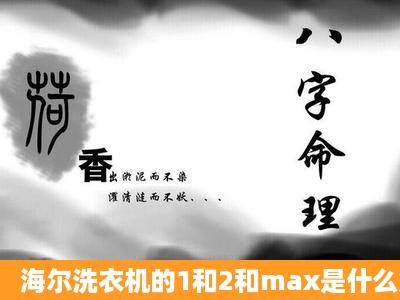 海尔洗衣机的1和2和max是什么意思