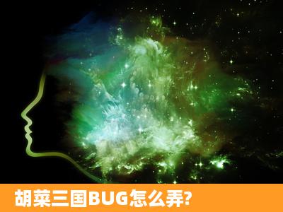 胡菜三国BUG怎么弄?