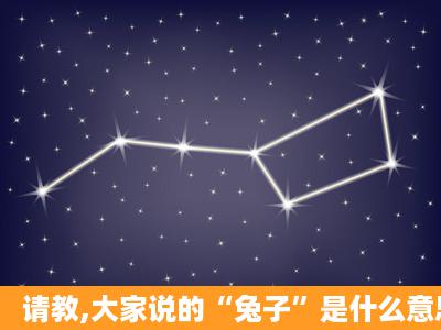 请教,大家说的“兔子”是什么意思