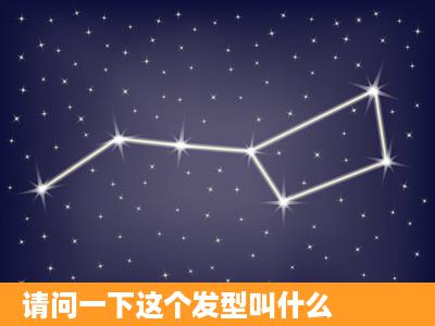 请问一下这个发型叫什么