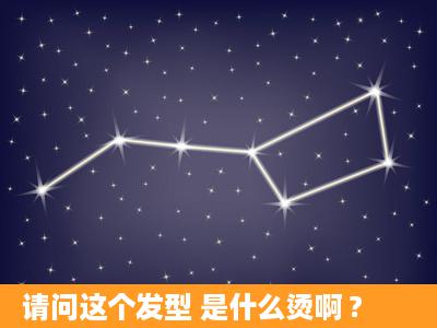 请问这个发型 是什么烫啊 ?