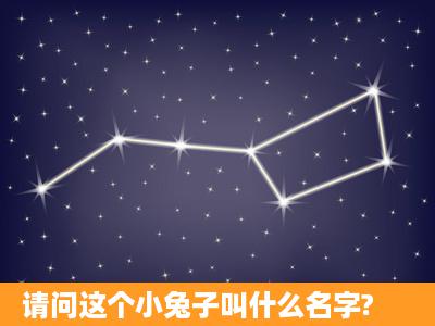 请问这个小兔子叫什么名字?