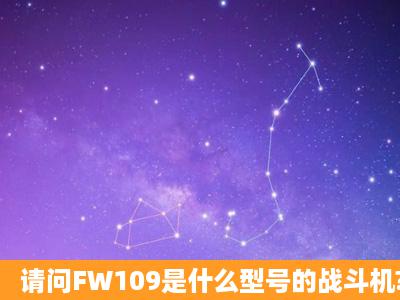 请问FW109是什么型号的战斗机?