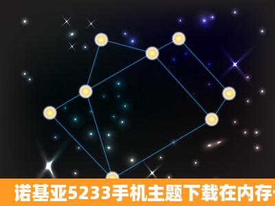 诺基亚5233手机主题下载在内存卡后如何使用?