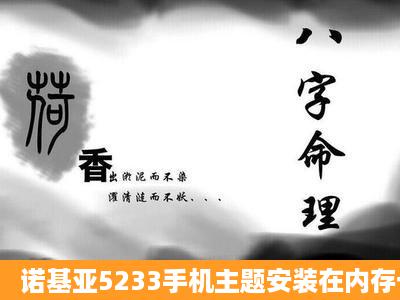 诺基亚5233手机主题安装在内存卡上的,可是在程序管理里面的已安装...