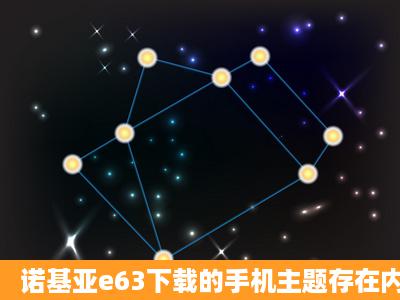 诺基亚e63下载的手机主题存在内存卡上为什么在手机上看不到?