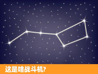 这是啥战斗机?