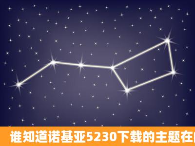 谁知道诺基亚5230下载的主题在内存卡的哪个文件夹中?