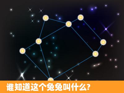 谁知道这个兔兔叫什么?