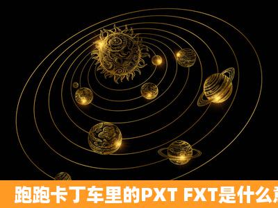 跑跑卡丁车里的PXT FXT是什么意思啊?