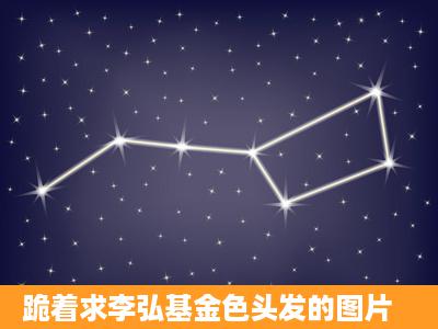 跪着求李弘基金色头发的图片