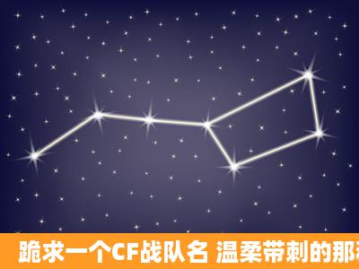 跪求一个CF战队名 温柔带刺的那种 要没用过的原创 !!!!