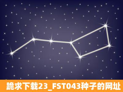 跪求下载23_FST043种子的网址