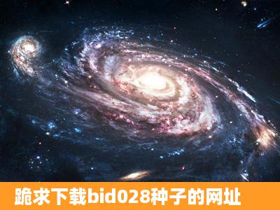 跪求下载bid028种子的网址