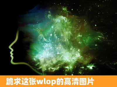 跪求这张wlop的高清图片