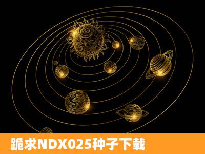 跪求NDX025种子下载