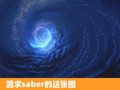 跪求saber的这张图