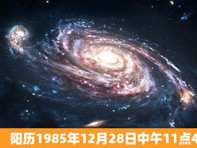 阳历1985年12月28日中午11点45左右出生(女)的八字或星座字向如何...