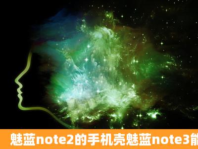 魅蓝note2的手机壳魅蓝note3能用吗?