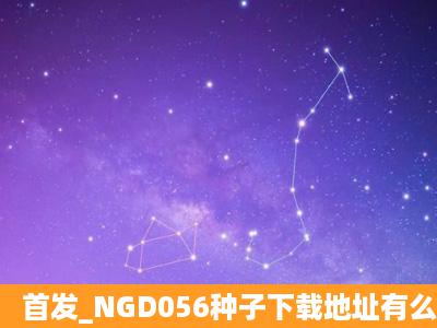 首发_NGD056种子下载地址有么