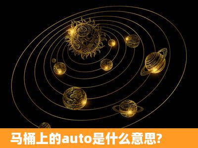 马桶上的auto是什么意思?