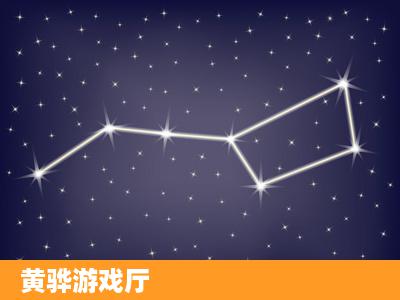 黄骅游戏厅