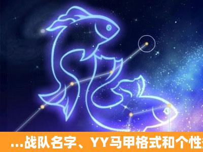 ...战队名字、YY马甲格式和个性签名!!!我战队全是犀利人物啊!!战队名...