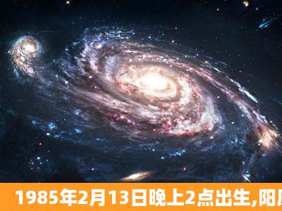 1985年2月13日晚上2点出生,阳历,女,请大师帮我算算八字婚姻事业