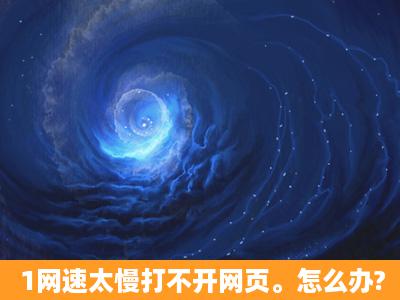 1网速太慢打不开网页。怎么办?