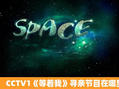 CCTV1《等着我》寻亲节目在哪里可以看重播??