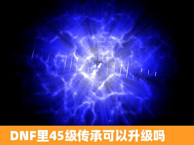 DNF里45级传承可以升级吗