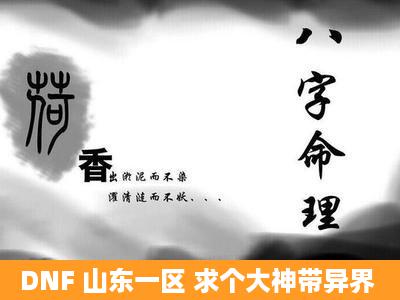 DNF 山东一区 求个大神带异界